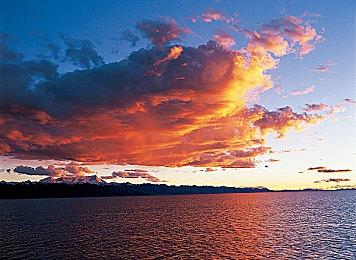 《小缇娜的奇幻之地》现已在全球正式推出