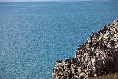 预约观看《命运2》揭秘之夜，赢游戏徽标、手柄、典藏版礼包等海量豪礼！
